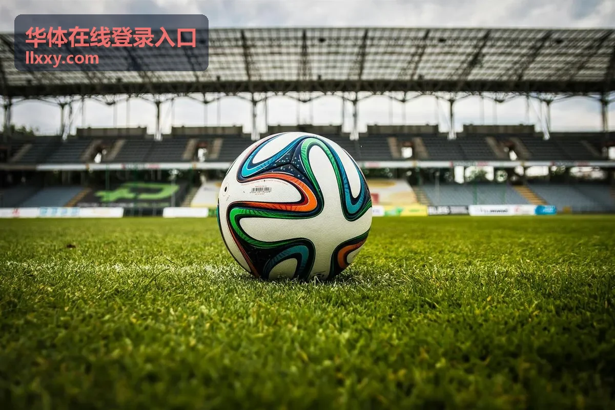 华体在线登录入口体育资讯足球赛场封面